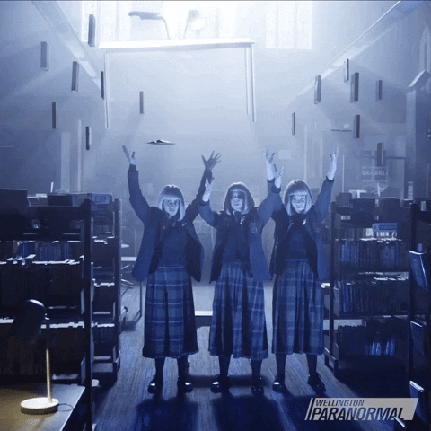 What We Do In The Shadows Poltergeist GIF by Wellington Paranormal