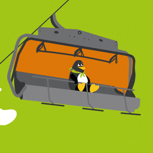 Penguin Adventure GIF by Grupa Pingwina