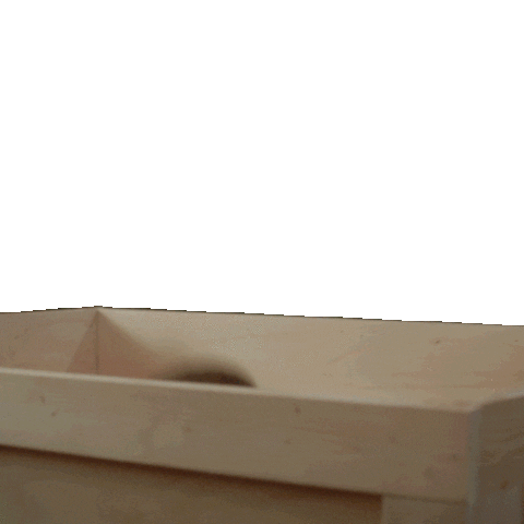 St Patricks Day Cheers Sticker by Guinness US