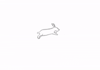maht_studios running run bunny rabbit GIF