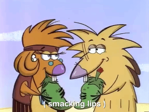 nickrewind giphydvr nicksplat angry beavers giphyab013 GIF