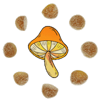 Magic Mushrooms Mushroom Sticker by KarmaIQ