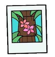 Sorry Not Sorry Love Sticker by Nora Fikse