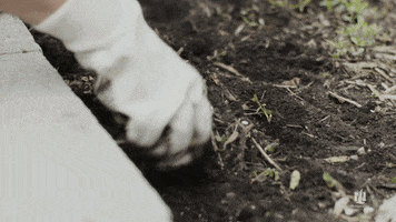 GIF by Nationwide