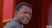 Sidney Poitier Drama GIF by Turner Classic Movies
