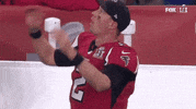 Super Bowl Omg GIF by NFL