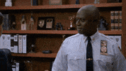 nbc b99 GIF by Brooklyn Nine-Nine