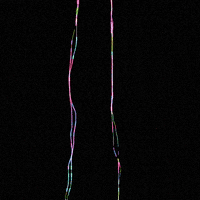 life time GIF by XCOPY