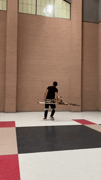 thatguywhospins  GIF
