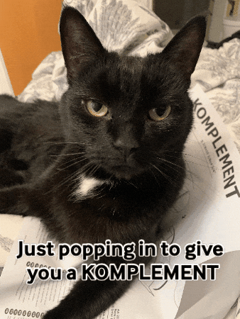 You Are Amazing Black Cat GIF