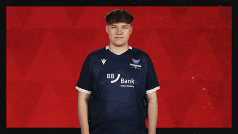 Karlsruher Sc Football GIF by Bundesliga