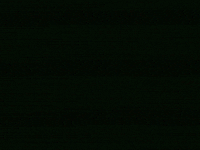 Cartoon Colors GIF