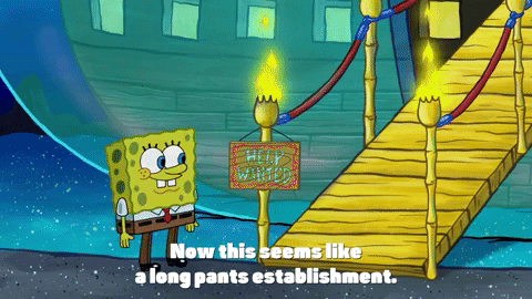 season 9 GIF by SpongeBob SquarePants