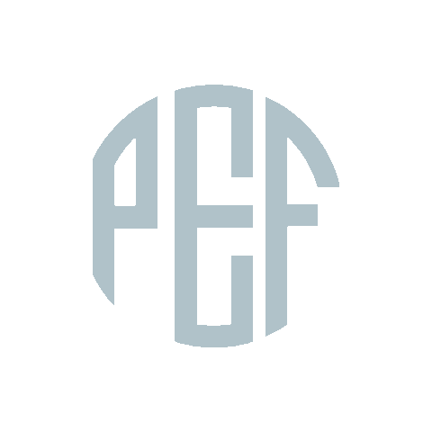 NYSPUBLICEMPLOYEESFEDERATION giphyupload union union strong pef Sticker