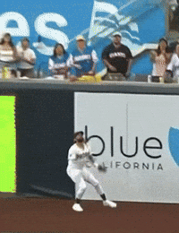 Home Run Mlb GIF