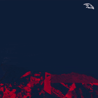 Adelaide Football Club GIF by Adelaide Crows