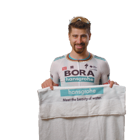 BORA-hansgrohe giphyupload peter disappear bora Sticker