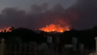 Flames Illuminate Night Sky as Greek Authorities Battle 'Unprecedented' Fires