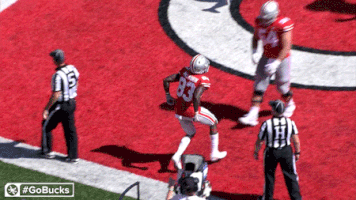 Ncaa Sports GIF by Ohio State Athletics