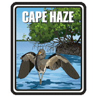 Aquatic Preserve Sticker by FLDEP