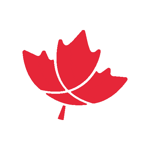 viagens_montreal giphygifmaker Sticker