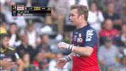 fc grenoble discussion GIF by FCG Rugby
