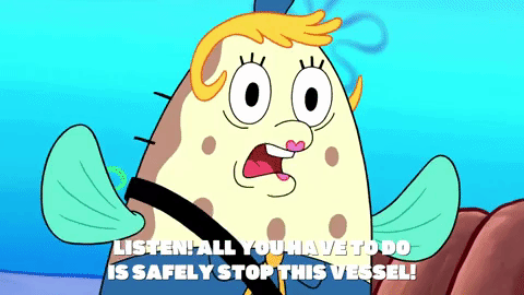 season 9 little yellow book GIF by SpongeBob SquarePants