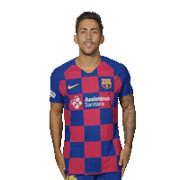 Sport Barca Sticker by FC Barcelona