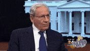 Fear Woodward GIF by PieOrama