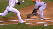 major league baseball sport GIF by MLB