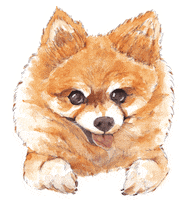 Dogs Love Sticker
