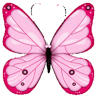 Butterfly Sticker