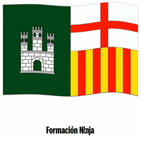 Flag Spain GIF by Formación Ninja
