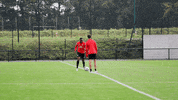 Sikou GIF by EA Guingamp
