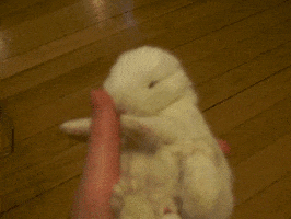 rabbit holding GIF
