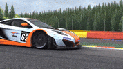 Assetto Corsa Speed GIF by Curated Stance!