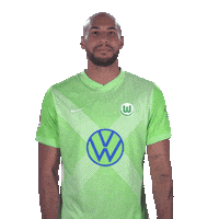 Vfl Wolfsburg Football Sticker by Bundesliga