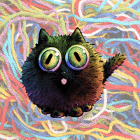 Black Cat GIF