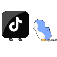 Scrolling Tik Tok Sticker by Pudgy Penguins