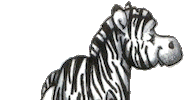 zebra STICKER