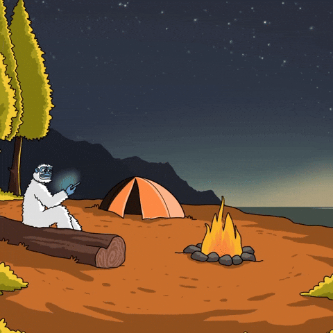 Camping Night Time GIF by Lofi The Yeti