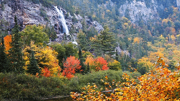 Fall Autumn GIF by Jerology