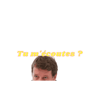 Listen Yannick Jadot Sticker by 2022 l'écologie