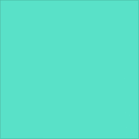 Raquel R45 GIF by Debron Bier
