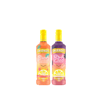 Happy Hour Party Sticker by Smirnoff US