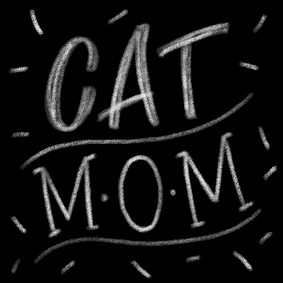 MoiraSchweiger cat chalk catlover catmom GIF