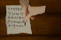 trash_cats_tv glas2022 GIF