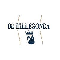 Rotterdam Wonen Sticker by De Hillegonda