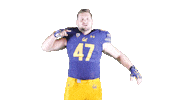Tevis Sticker by Cal Athletics