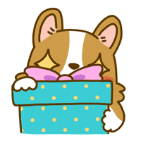 Happy Welsh Corgi GIF by Lazy Corgi